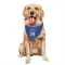 New York Knicks Charles Oakley Blue  White Dog & Cat Pet Bandana