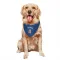 New York Knicks Jalen Brunson Blue  Dog & Cat Pet Bandana