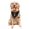 New York Knicks John Starks Black  Dog & Cat Pet Bandana