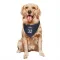 New York Knicks Karl-Anthony Towns Navy  Dog & Cat Pet Bandana