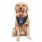 New York Knicks Mikal Bridges Navy  Dog & Cat Pet Bandana