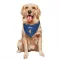 New York Knicks Pacome Dadiet Blue  Dog & Cat Pet Bandana